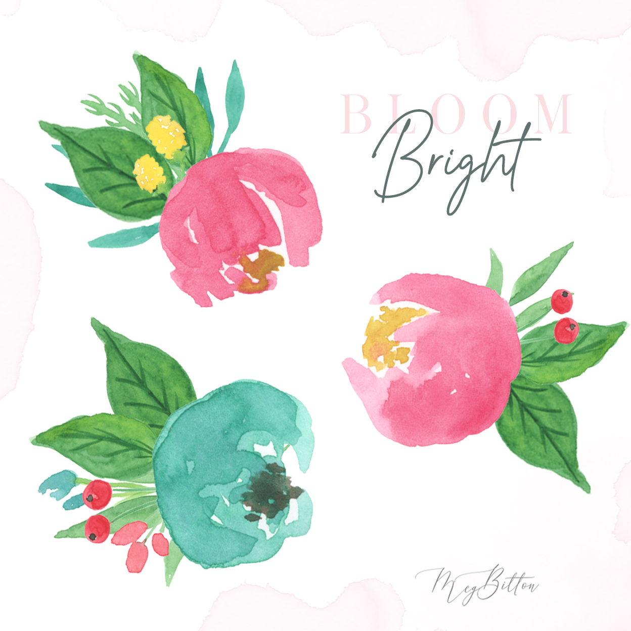 Bloom Bright - Meg Bitton Productions