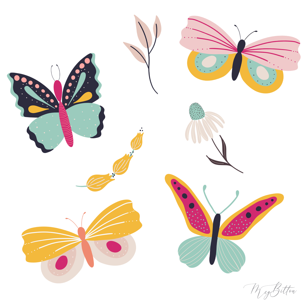 Butterflies - Meg Bitton Productions