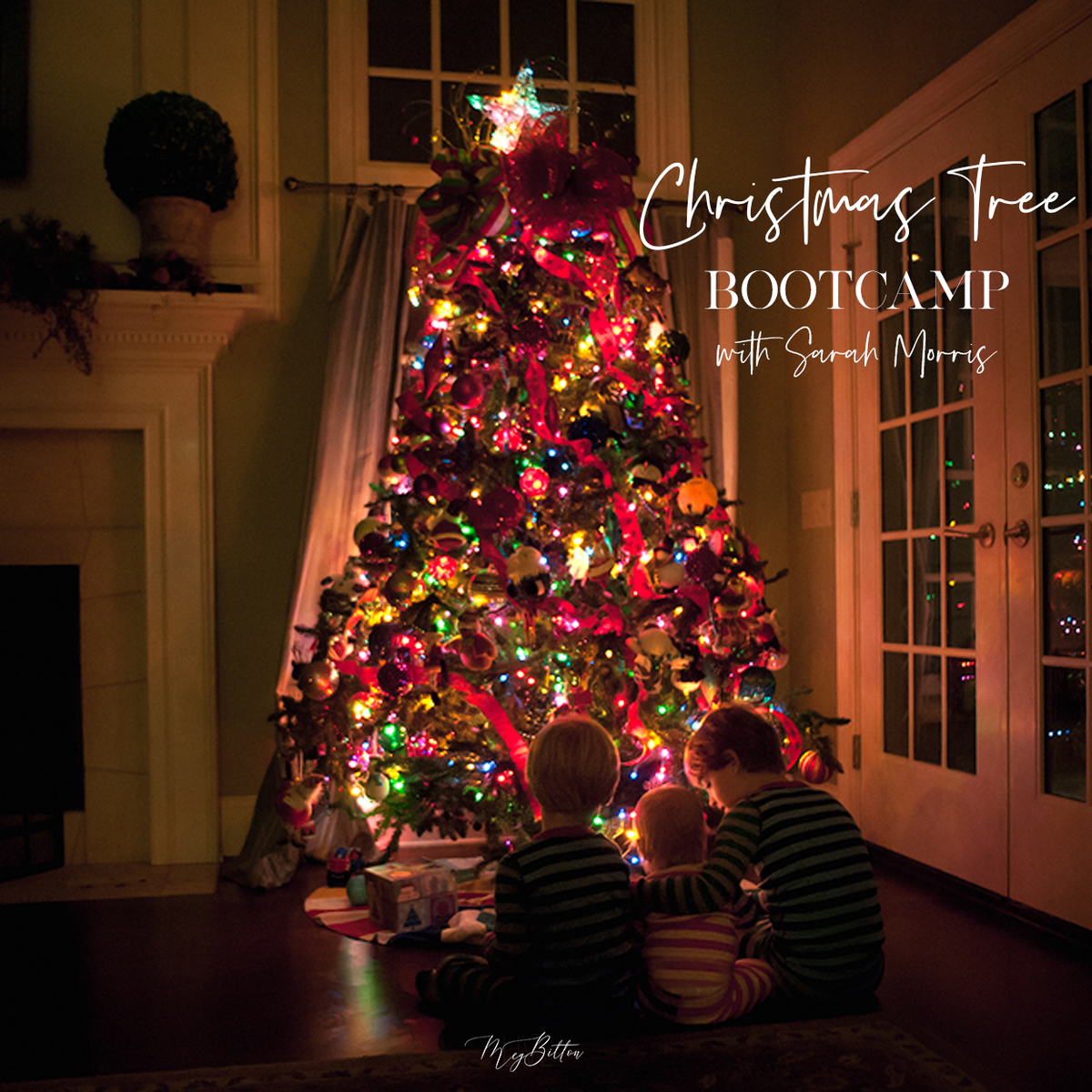 Christmas Tree Bootcamp - December 2019 - Meg Bitton Productions