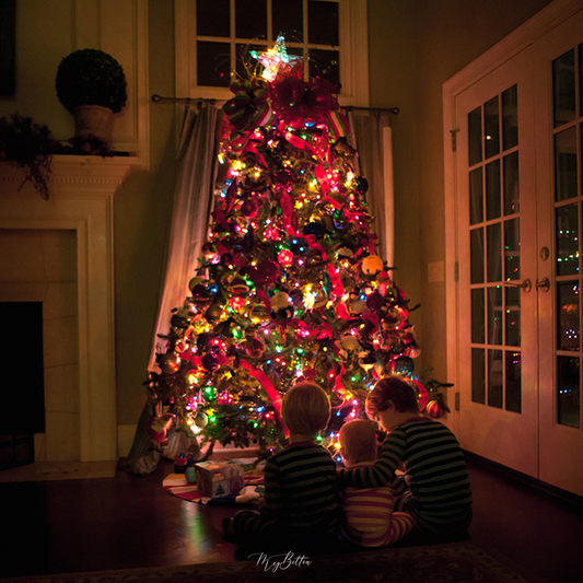 Christmas Tree Image Fundamentals - Meg Bitton Productions