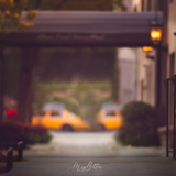 Digital Background: 5th Avenue - Meg Bitton Productions