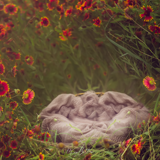 Digital Background: Baby Basket in Flowers - Meg Bitton Productions