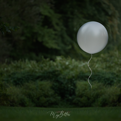 Digital Background: Balloon on the Lawn - Meg Bitton Productions