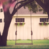 Digital Background: Barn Swing - Meg Bitton Productions