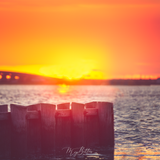 Digital Background: Bay at Sunset - Meg Bitton Productions