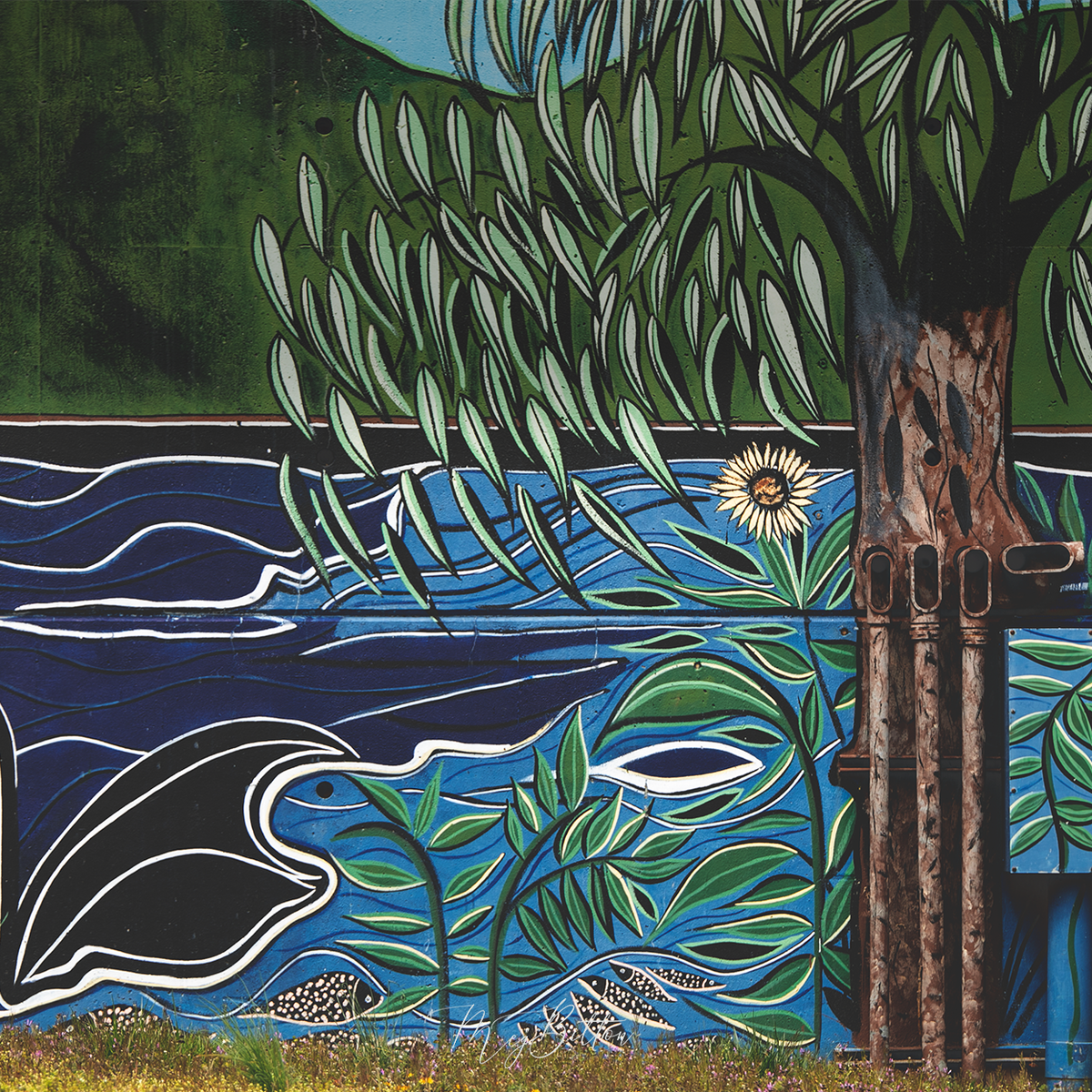 Digital Background: Blue Mural - Meg Bitton Productions