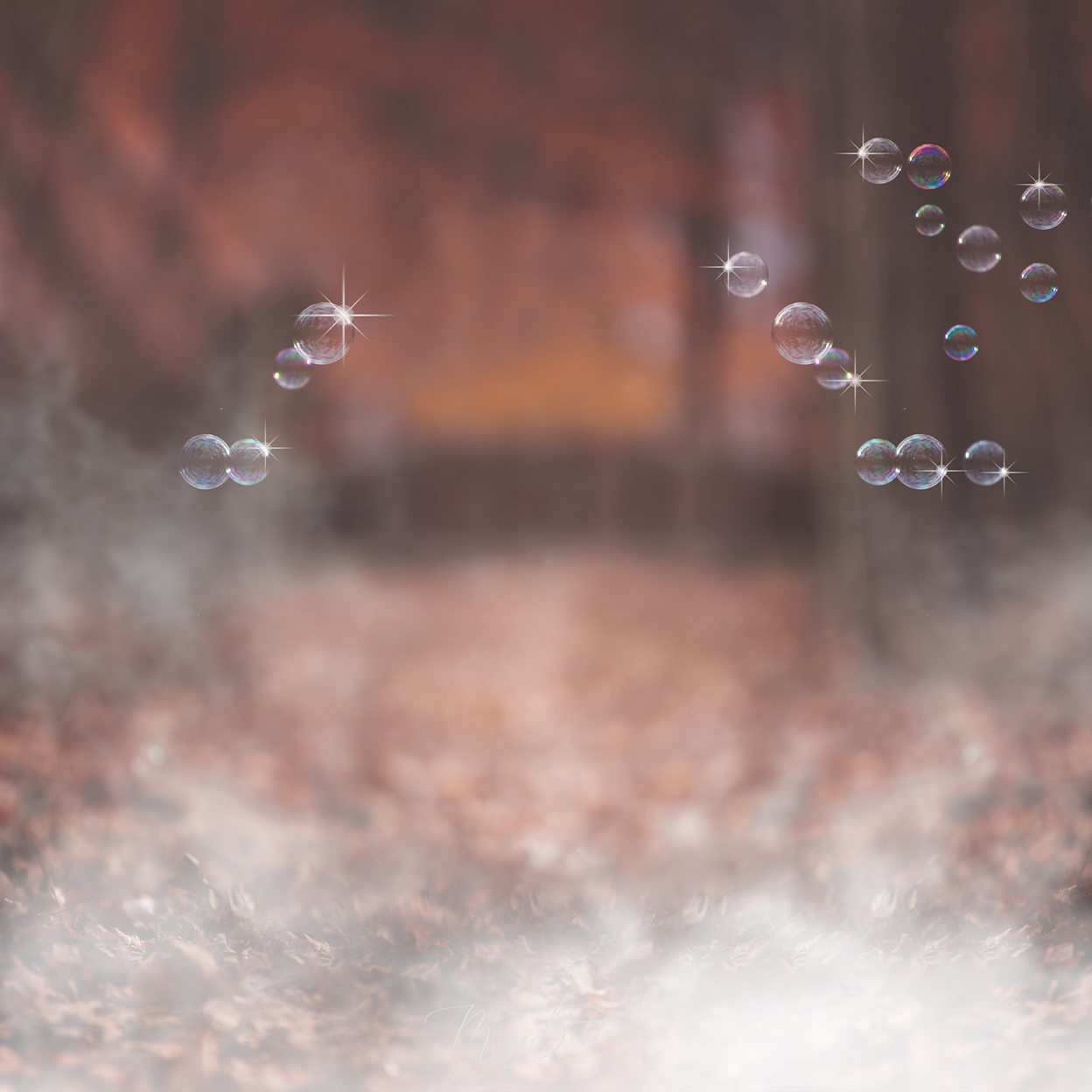 Digital Background: Bubbles & Fog Forest - Meg Bitton Productions