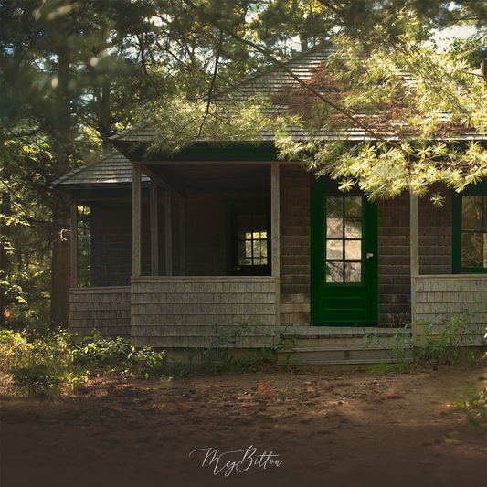 Digital Background: Cabin in the Woods - Meg Bitton Productions