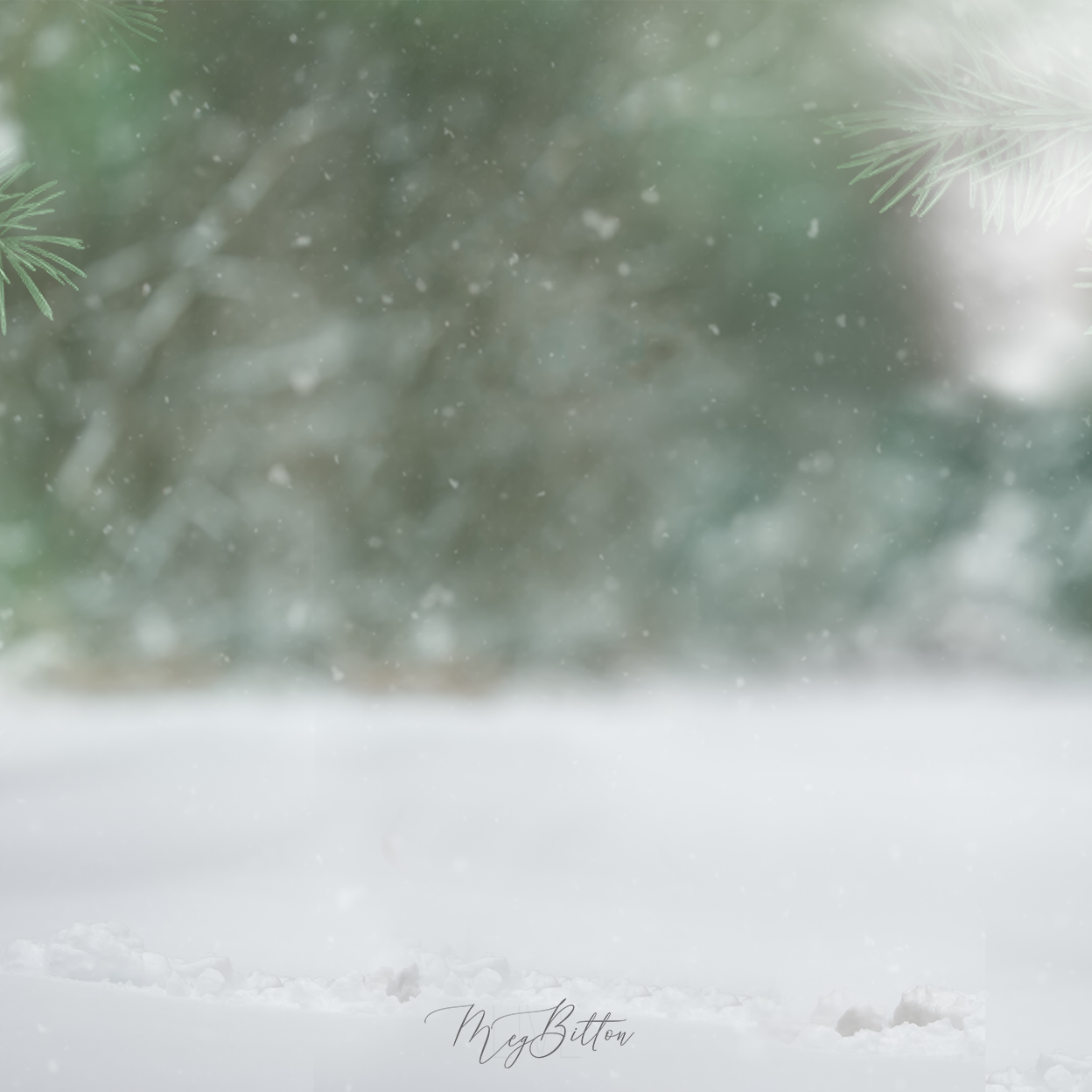 Digital Background: Cozy Snow Pines - Meg Bitton Productions