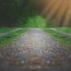 Digital Background: Evening Road to Nowhere - Meg Bitton Productions