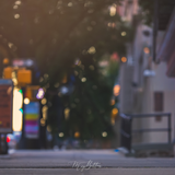 Digital Background: Evening on the Avenue - Meg Bitton Productions