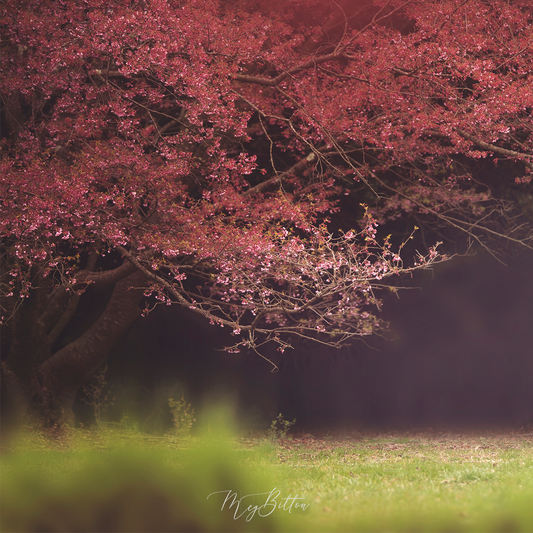 Digital Background: Flower Tree - Meg Bitton Productions