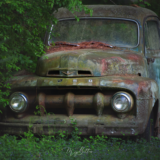 Digital Background: Forest Truck - Meg Bitton Productions