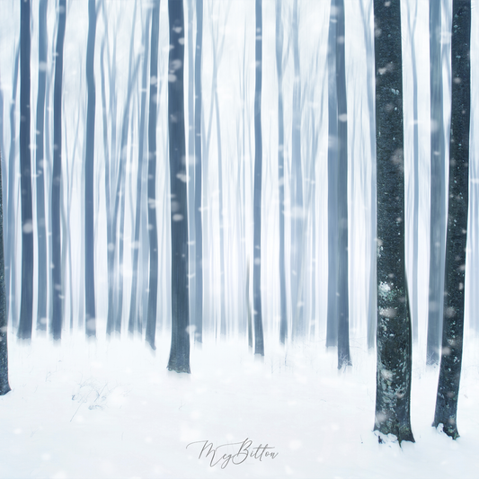 Digital Background: Forest of White - Meg Bitton Productions