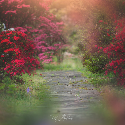 Digital Background: Garden Path - Meg Bitton Productions