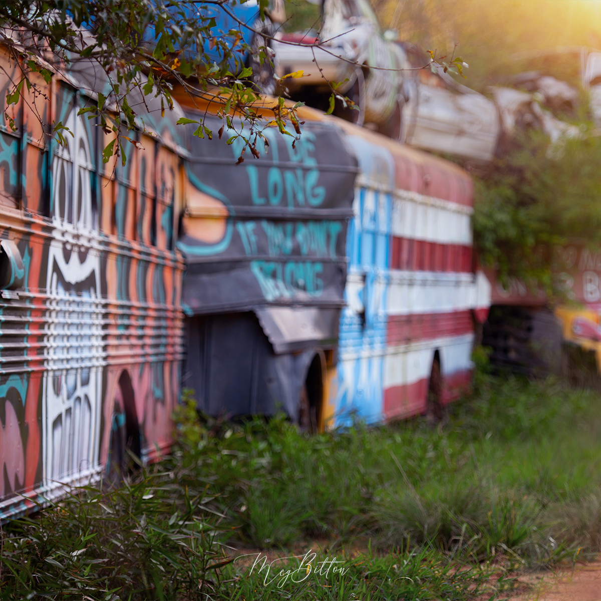 Digital Background: Graffiti Bus - Meg Bitton Productions