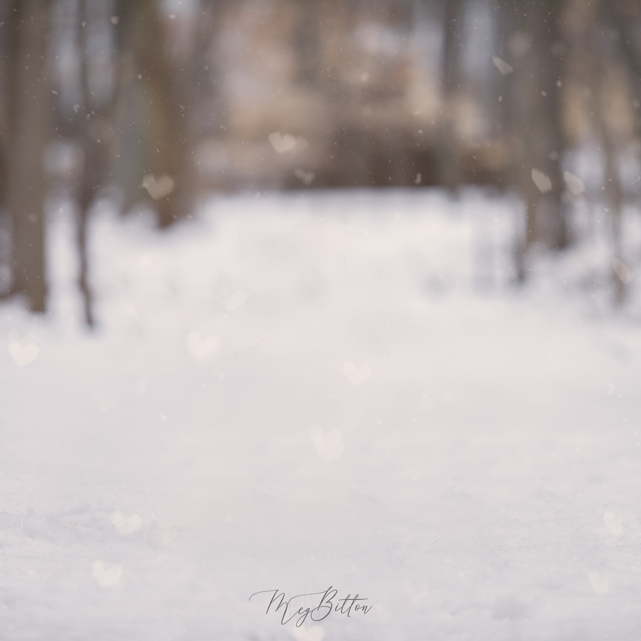 Digital Background: Heart Snow Path - Meg Bitton Productions
