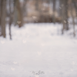 Digital Background: Heart Snow Path - Meg Bitton Productions