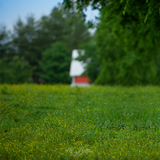 Digital Background: Hidden Barn - Meg Bitton Productions