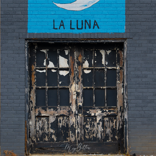Digital Background: La Luna2 - Meg Bitton Productions