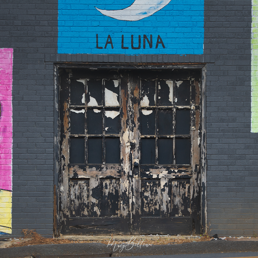 Digital Background: La Luna - Meg Bitton Productions