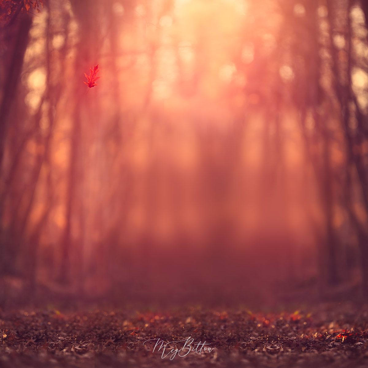 Bitmap Images Fall Digital Background: Late Fall – Meg Bitton Productions