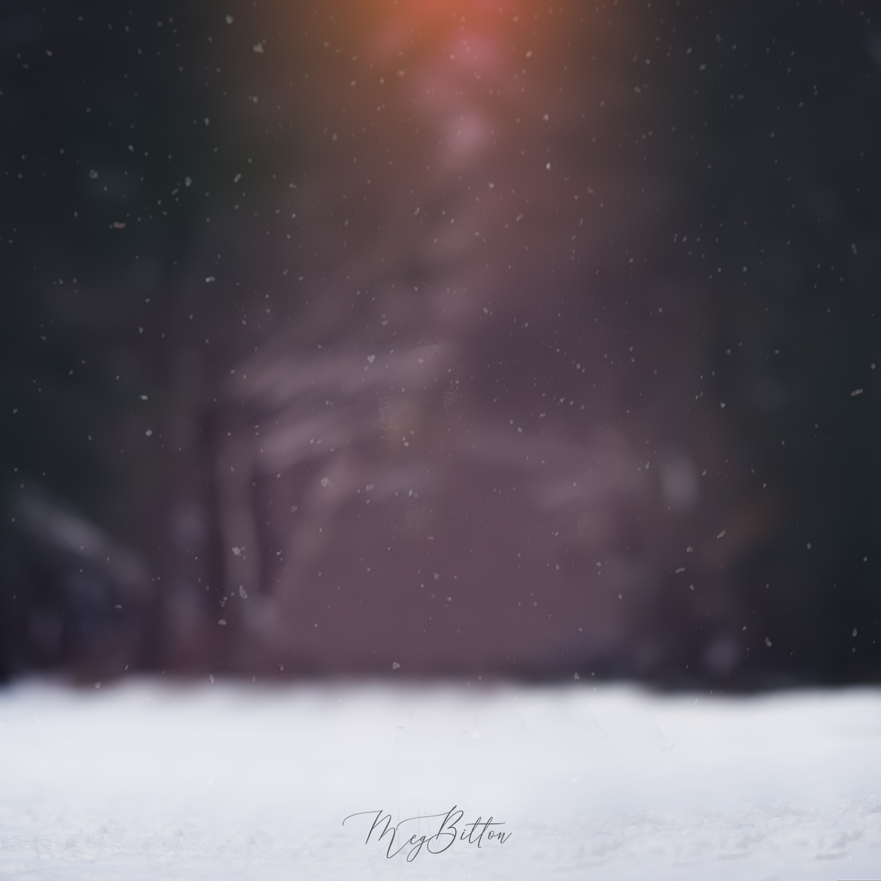 Digital Background: Night Snow - Meg Bitton Productions