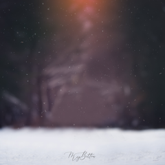 Digital Background: Night Snow - Meg Bitton Productions