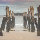 Digital Background: Old Pier - Meg Bitton Productions