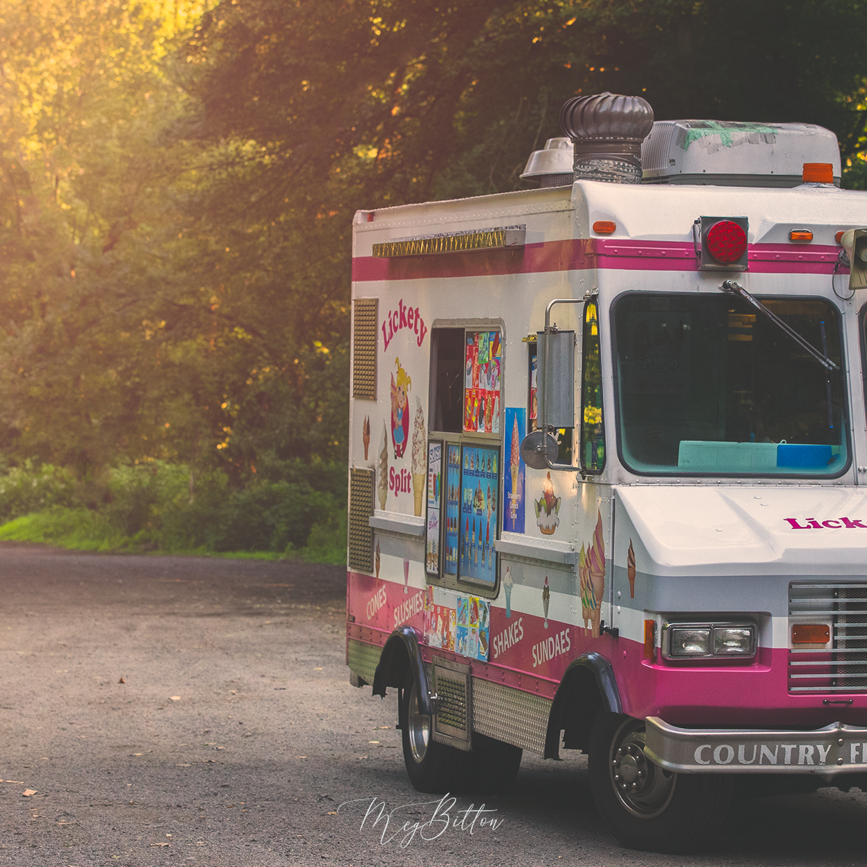 Digital Background: Pink Ice Cream Truck - Meg Bitton Productions