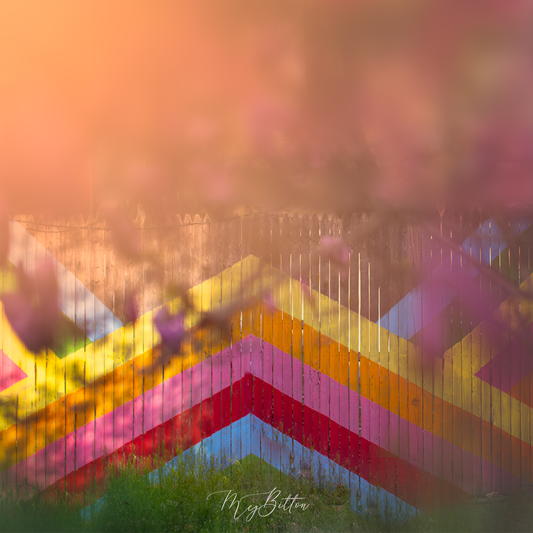 Digital Background: Rainbow Fence - Meg Bitton Productions