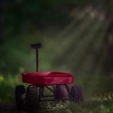 Digital Background: Red Wagon - Meg Bitton Productions