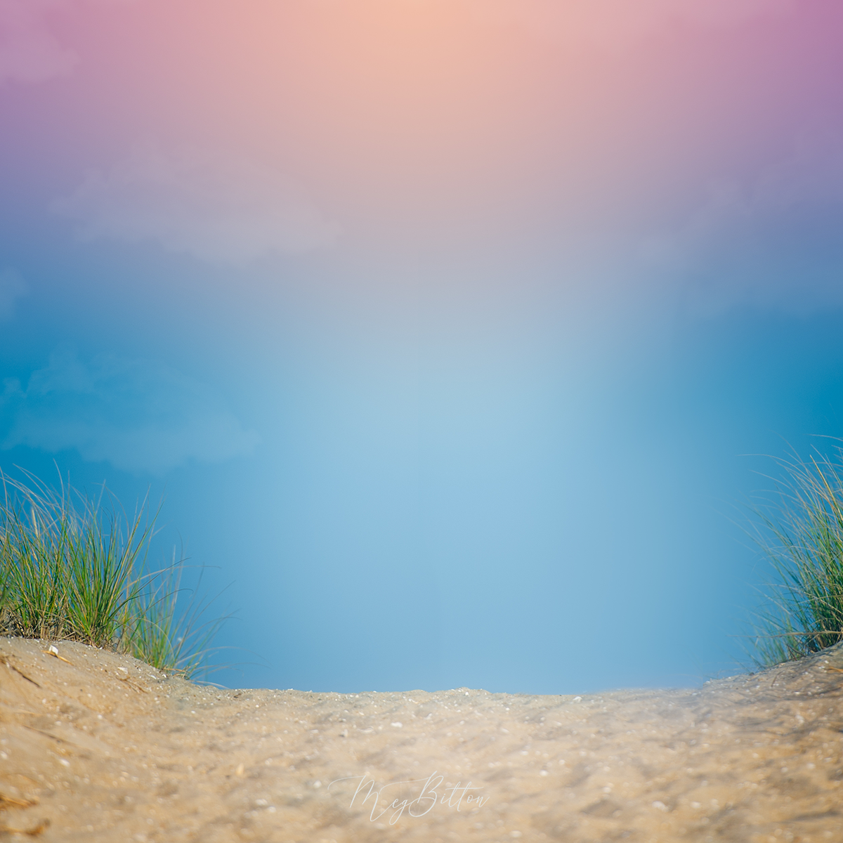 Digital Background: Sand Dunes - Meg Bitton Productions