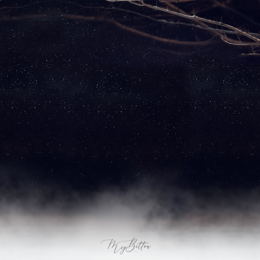 Digital Background: Snow Fog - Meg Bitton Productions