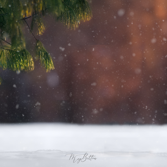 Digital Background: Snow Shower - Meg Bitton Productions