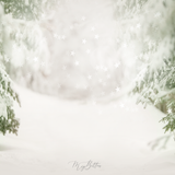 Digital Background: Snow - Meg Bitton Productions