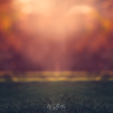 Digital Background: Spring Sunset - Meg Bitton Productions