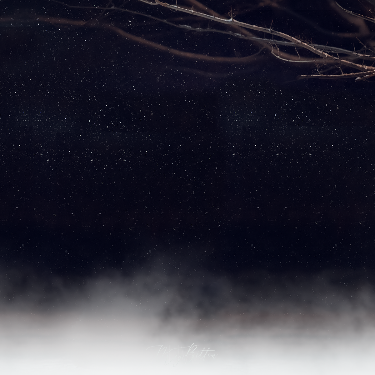 Digital Background: Starry Foggy Night - Meg Bitton Productions