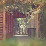 Digital Background: Summer Cabin - Meg Bitton Productions