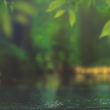 Digital Background: Summer River - Meg Bitton Productions