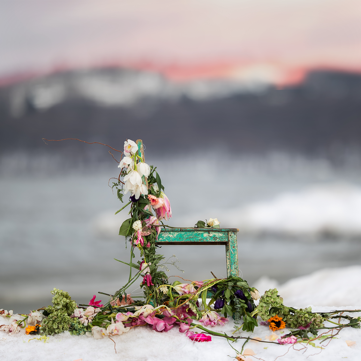 Digital Background: Sunset Floral Chair - Meg Bitton Productions
