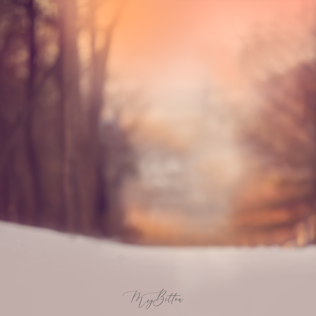Digital Background: Sunset Mountain Snow - Meg Bitton Productions
