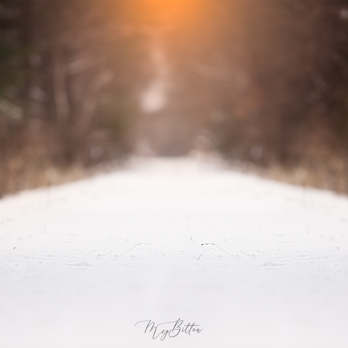 Digital Background: Sunset Snow Path - Meg Bitton Productions