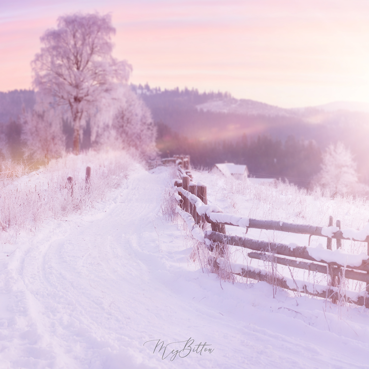 Digital Background: Sweet Pink Snow - Meg Bitton Productions