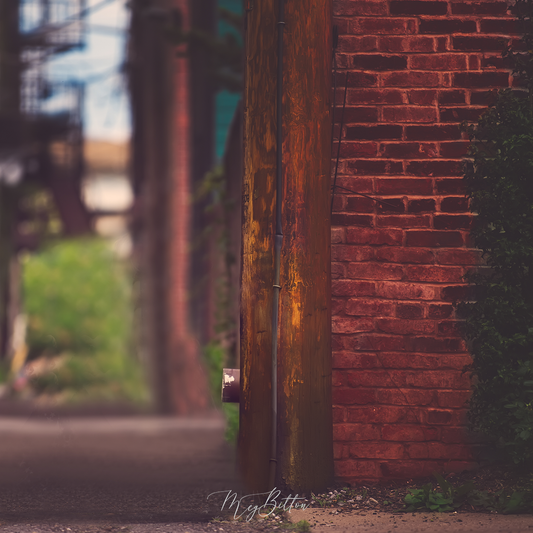 Digital Background: The Alley - Meg Bitton Productions