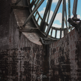 Digital Background: The Clock - Meg Bitton Productions