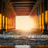 Digital Background: Under the Pier - Meg Bitton Productions