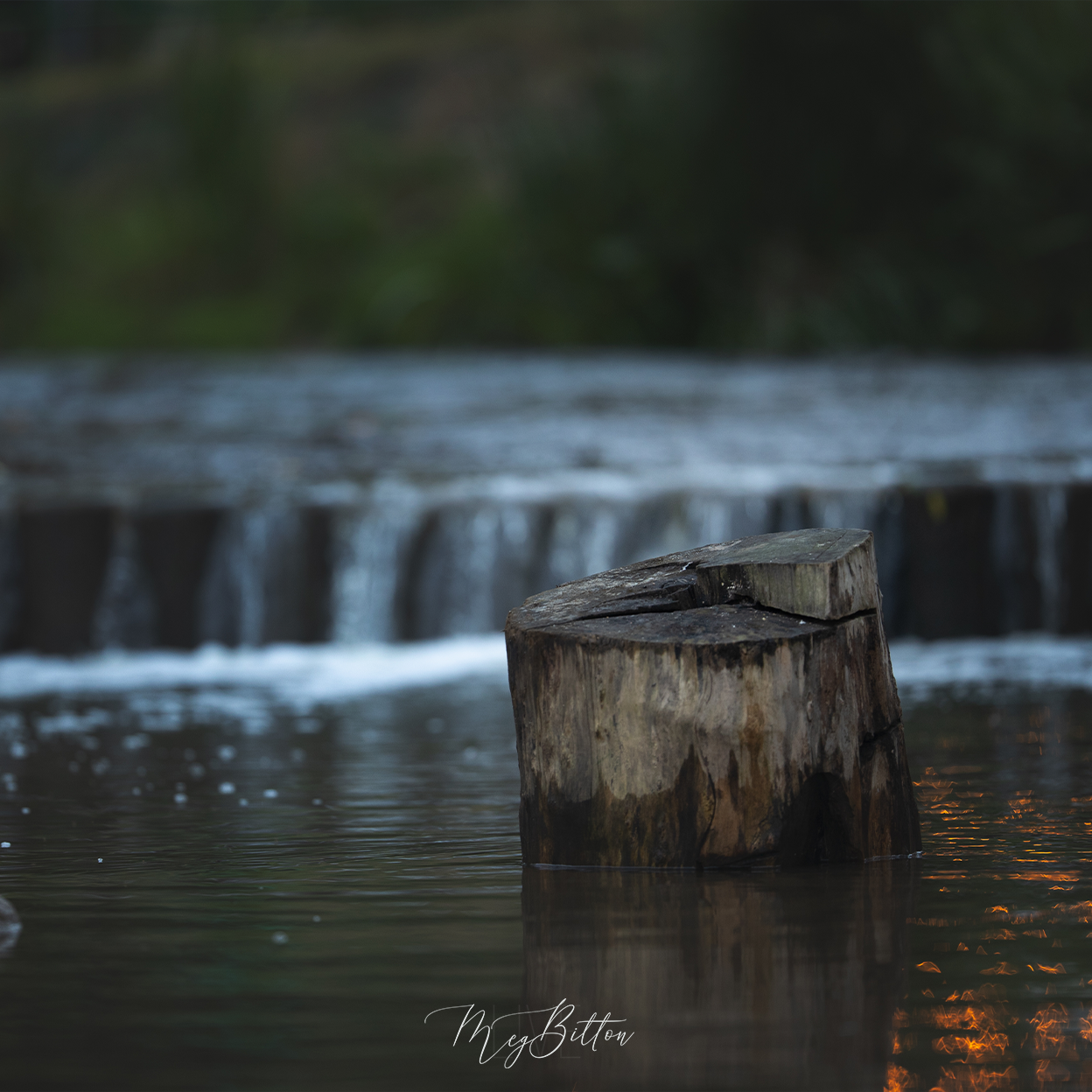 Digital Background: Waterfall Stump - Meg Bitton Productions