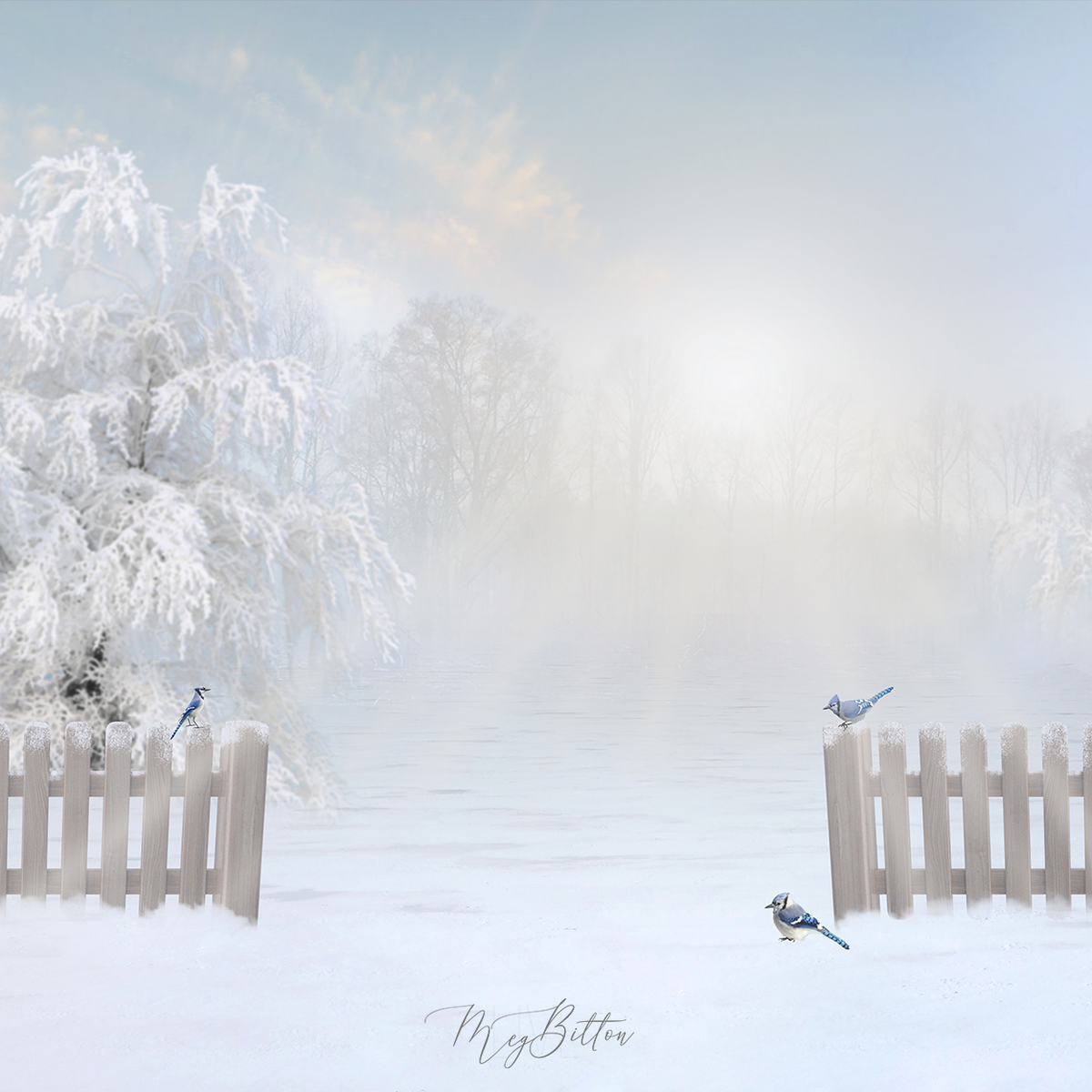 Digital Background: Winter Gate - Meg Bitton Productions