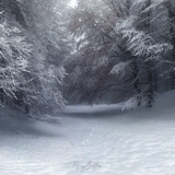 Digital Background: Winter Whisp - Meg Bitton Productions